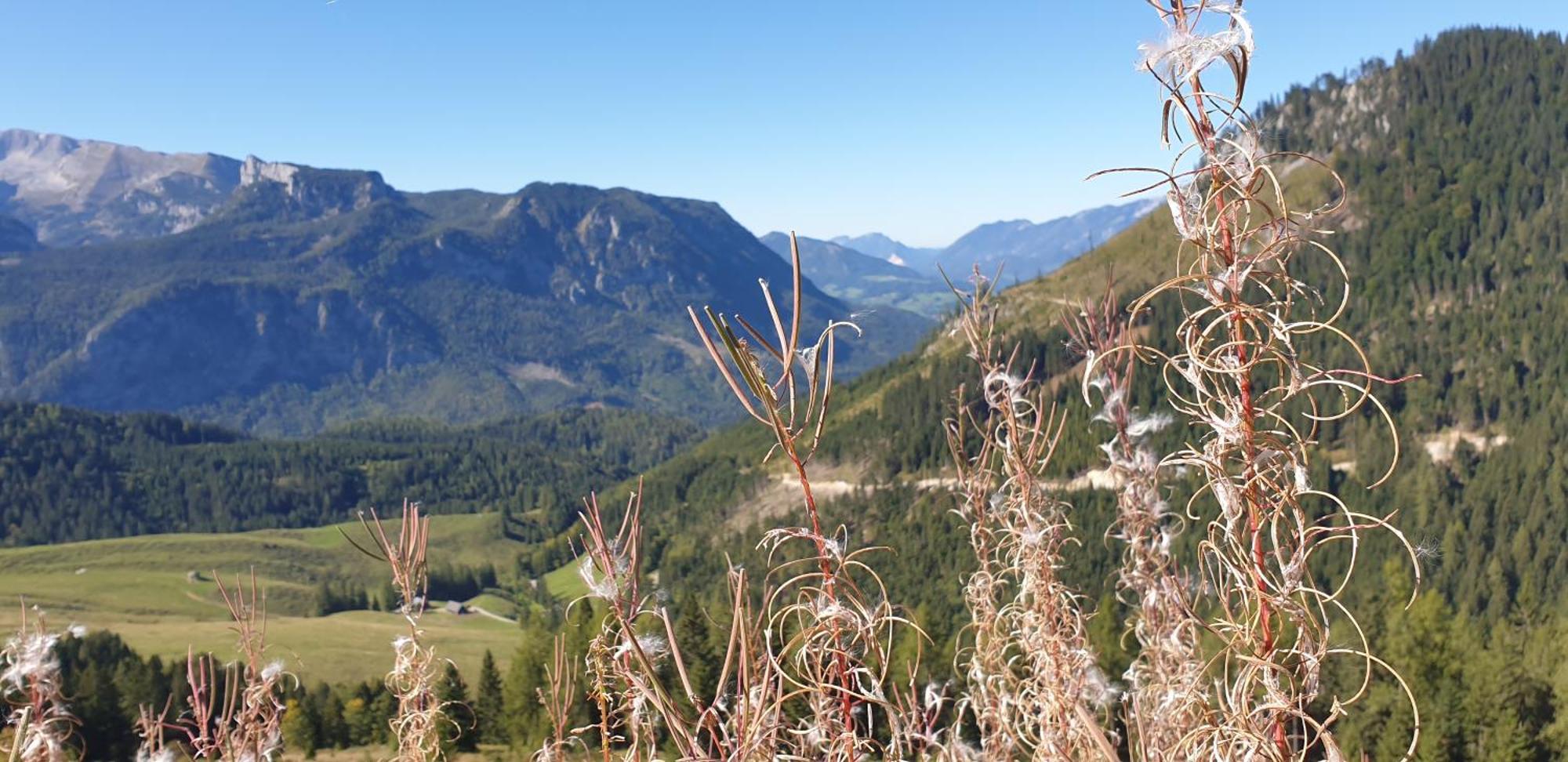 Ferienhaus Mountain View Spital Am Pyhrn Exteriér fotografie