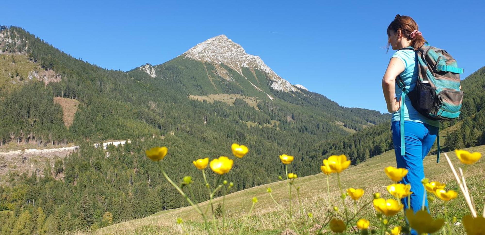 Ferienhaus Mountain View Spital Am Pyhrn Exteriér fotografie