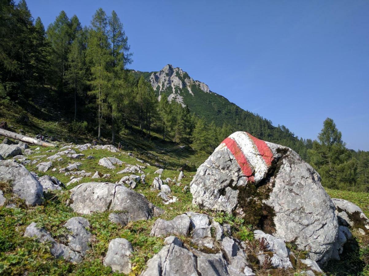 Ferienhaus Mountain View Spital Am Pyhrn Exteriér fotografie